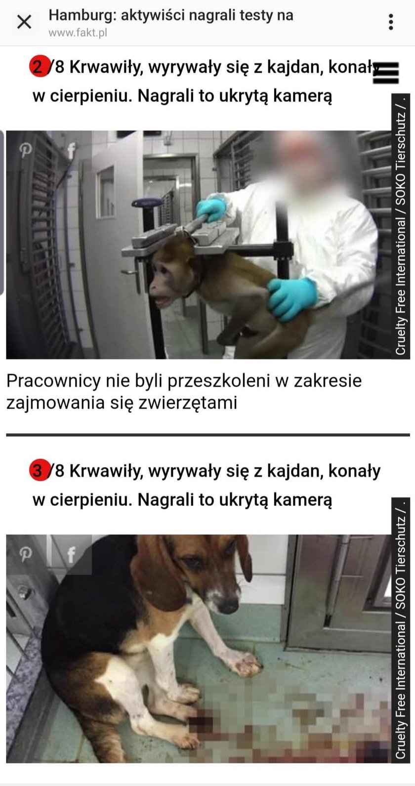 Screeny z artykułu Faktu