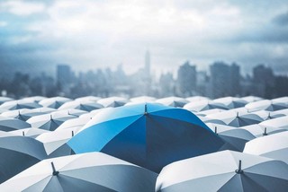 Ochrona dla menedżerów i firm