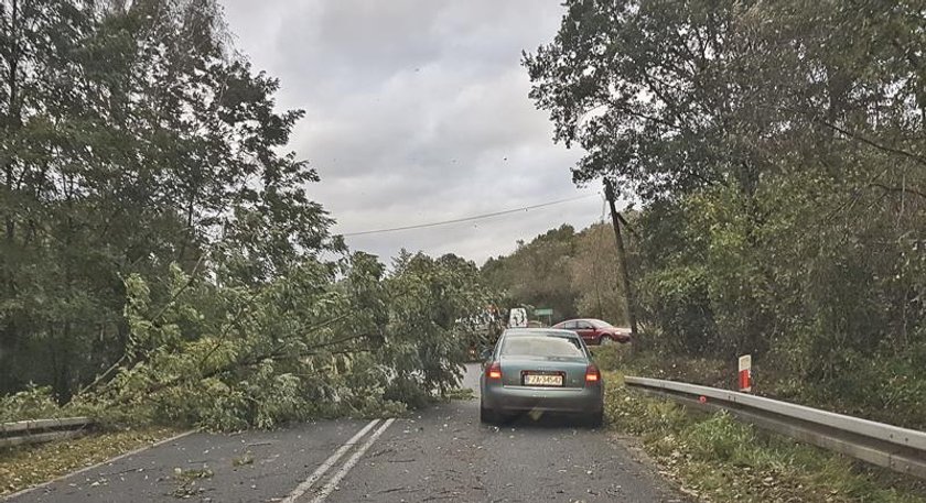 Oto, co zostawiły po sobie wichury. Skala zniszczeń jest ogromna