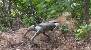 Robopsy na ukraińskim froncie