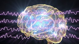 ultradźwięki kontra tajemnica świadomości. nowe narzędzie może przybli