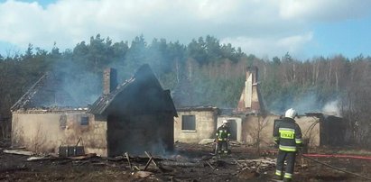 Spłonęły dwa budynki i 7 hektarów nieużytków