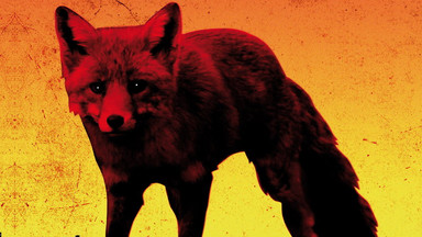 Recenzja: THE PRODIGY – "The Day Is My Enemy"