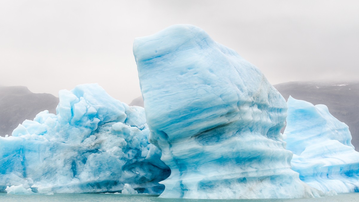 Kiedyś ziemia nie była nasza. Rządziły nią bakterie. Do wielkiego przewrotu doprowadziły olbrzymie lodowce i nadchodzące zaraz za nimi globalne ocieplenie klimatu - czytamy na portalu Independent.co.uk.