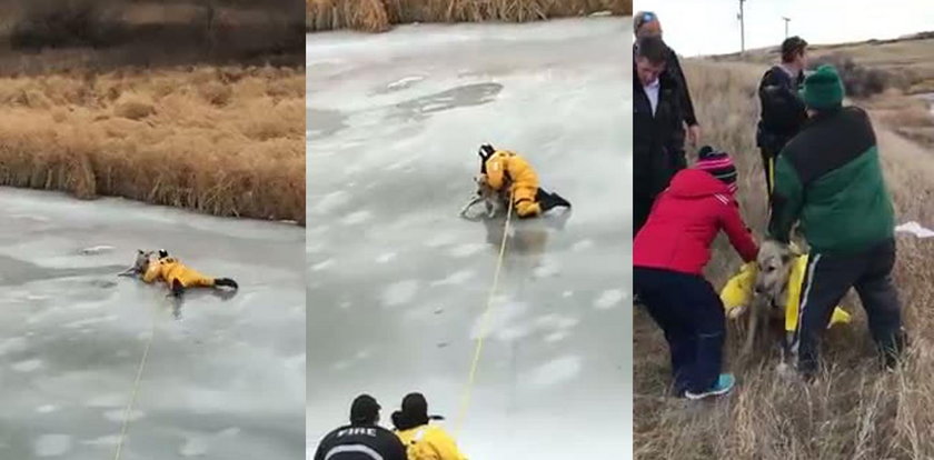 Wpadł do lodowatej rzeki. Nagranie z akcji ratowniczej podbija sieć