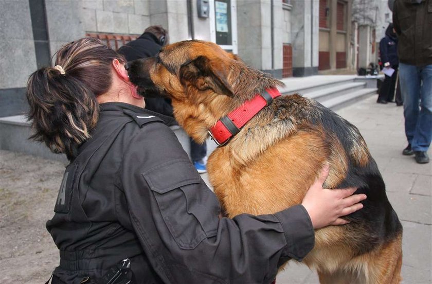 Są zarzuty dla porywacza Julki! Odpowie za...