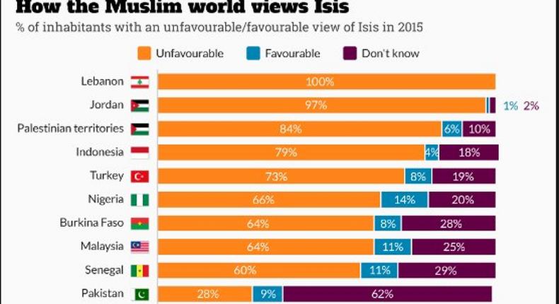 How the muslim world view Isis