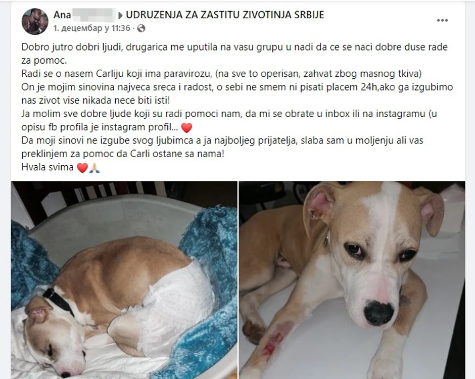 Prikupljala i pomoć za psa