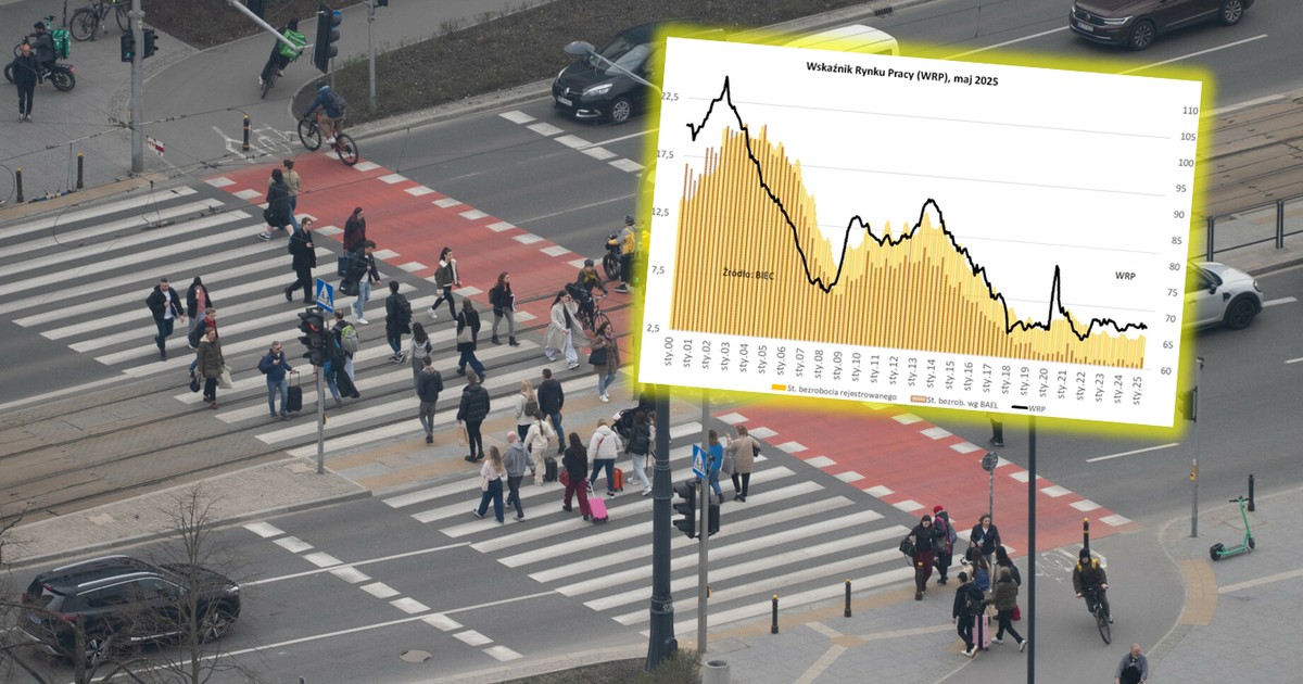 Wzięli pod lupę rynek pracy z każdej strony. Co dalej z bezrobociem?