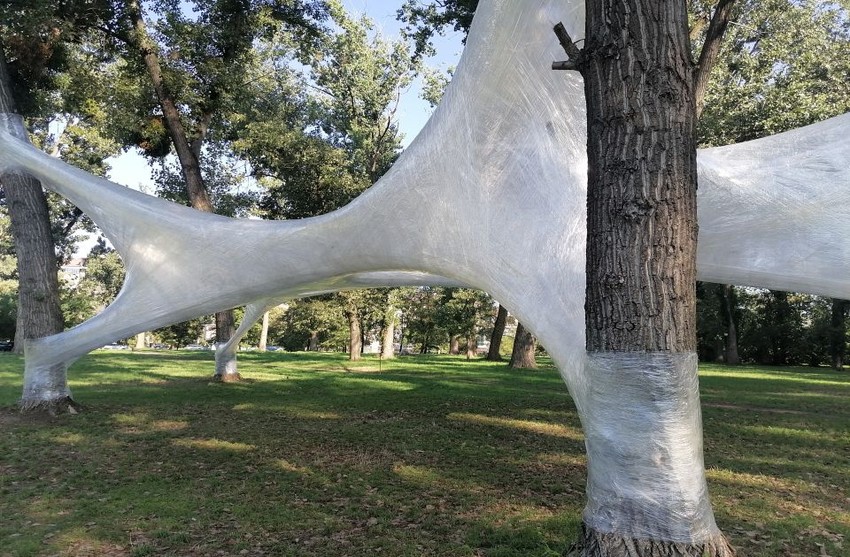 Skulptura od selotejpa u parku kod Rektorata