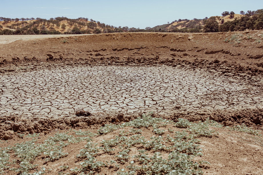 Popękana, sucha ziemia na ranczu Yolo Land & Cattle Co.