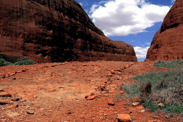 Galeria Australia - Uluru i Kata Tjuta, obrazek 13