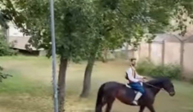 Prosidba u Novom Sadu 