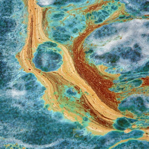 III miejsce w kategorii 