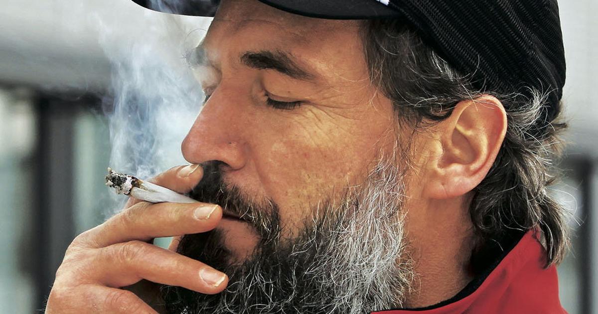 Marihuana posłowie chcą wprowadzić limit THC dla kierowców