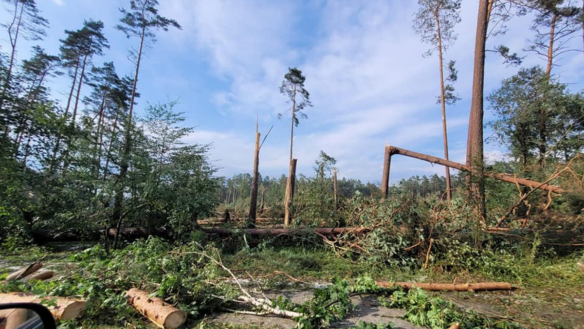 Pogoda. Trąba powietrzna w Borach Tucholskich. Zdjęcia pokazują skalę zniszczenia