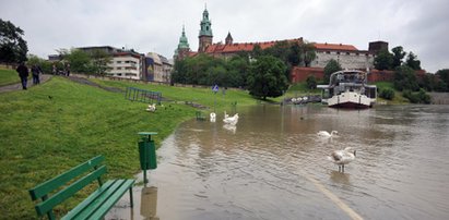 Zniknęły ścieżki spacerowe na krakowskich bulwarach