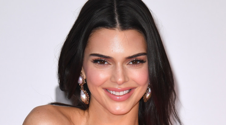 Kendall Jenner úgy fest új kampány fotóján, mint egy furcsa pók /Fotó: Northfoto