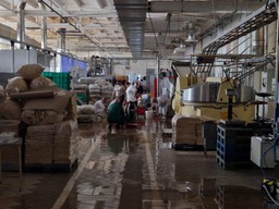 Zalane powodzią Cukry Nyskie walczą o przetrwanie, ale płacą pracownikom