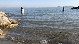 Már a Balatonnál is esőért könyörögnek: alacsony a vízállás, a helyiek aggódnak, hogy a Velencei tó sorsára jut a magyar tenger – Ezt  mondják a szakértők