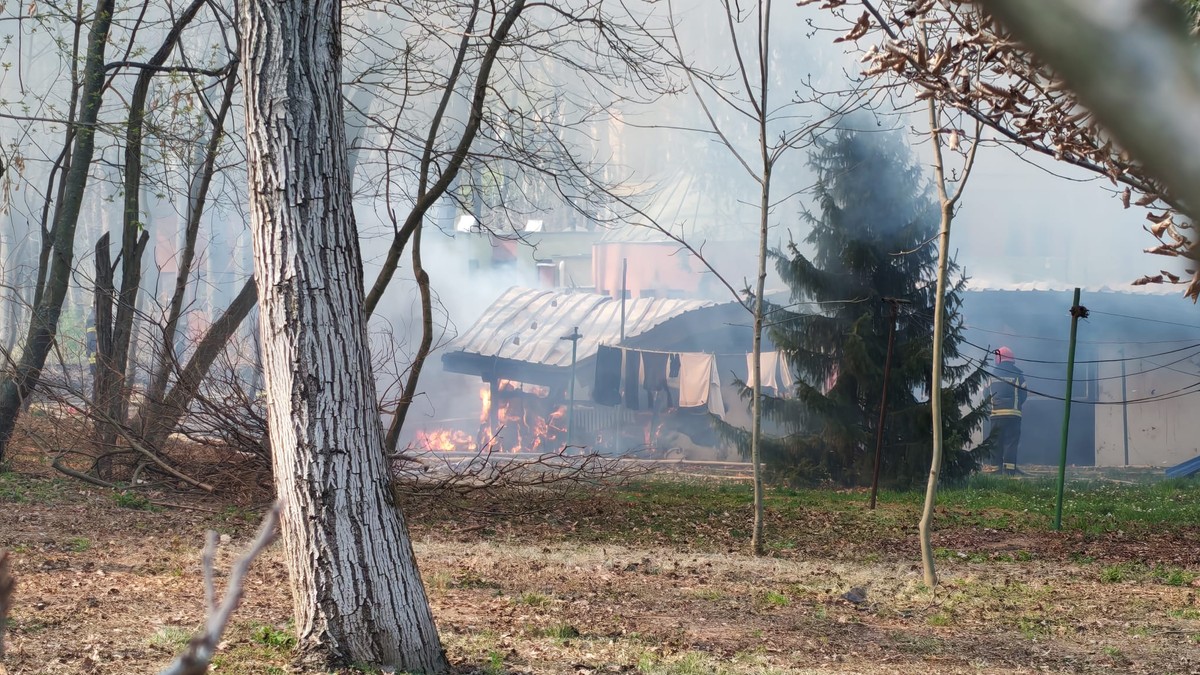 Ogroman požar na Bežaniji: Gorele barake, otkriveno šta je uzrok