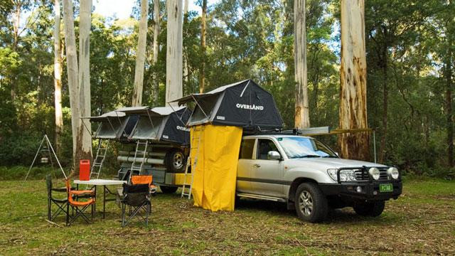 Galeria Australia - Safari fotograficzne, obrazek 45