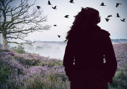 Bo śmierć jest po prostu ciekawa. Nordyckie kryminały Nessera i Indriðasona