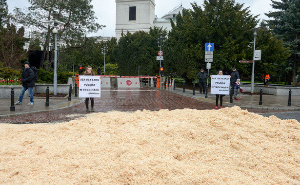 Kopiec trocin został rozsypany na ulicy Wiejskiej przed wjazdem do gmachu Sejmu