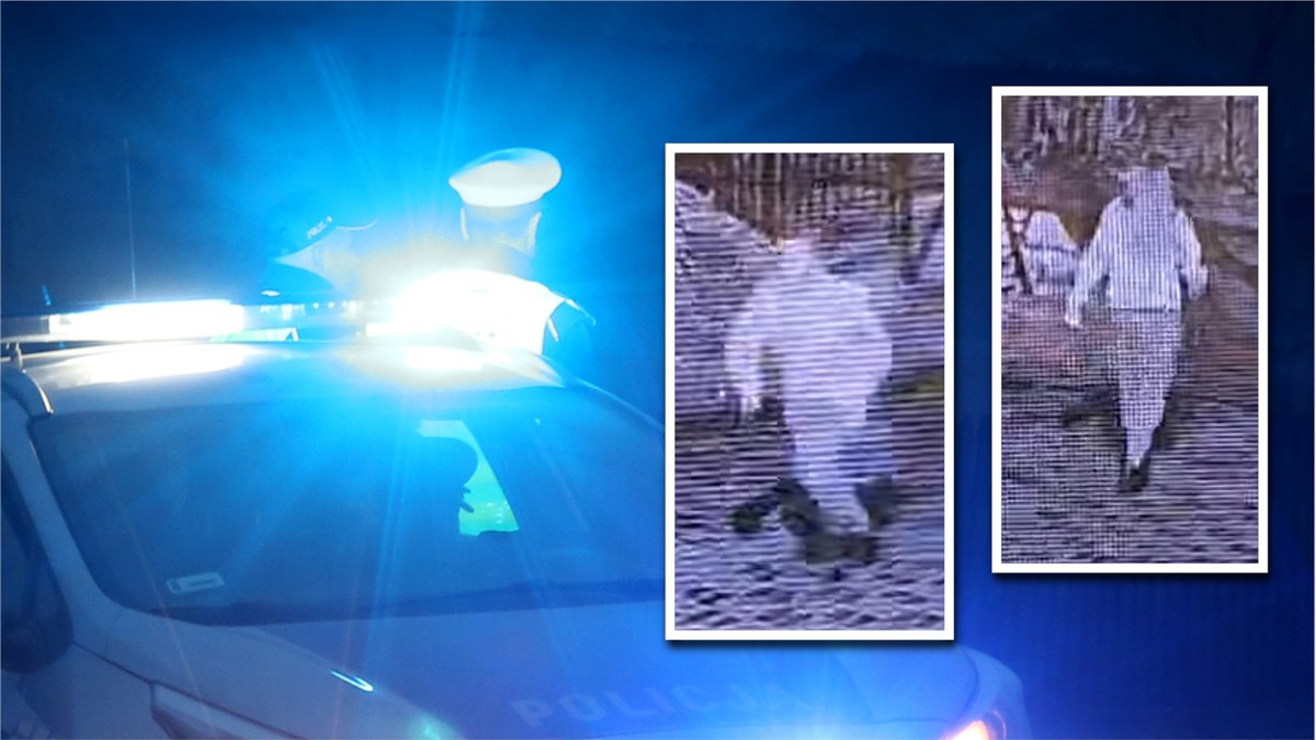 Tajemnicze poszukiwania nieznajomej. Policja pokazała nagranie