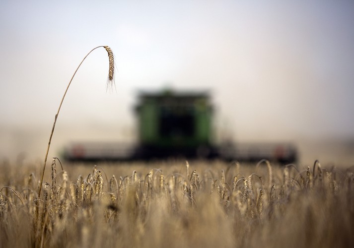 Stawiaj na rolnictwo i surowce. “Biorąc pod uwagę globalną sytuację demograficzną, surowce rolne i przemysłowe zawsze powinny mieć swoje miejsce w portfelu inwestycyjnym. W związku z wprowadzaniem globalnych programów stymulujących gospodarki, już niebawem powinniśmy zauważyć skok popytu na metale i energię, szczególnie, jeśli popyt w Chinach zacznie rosnąć” – mówi Quincy Krosby, strateg rynkowy z Prudential Financial z siedzibą w Newark, New Jersey.