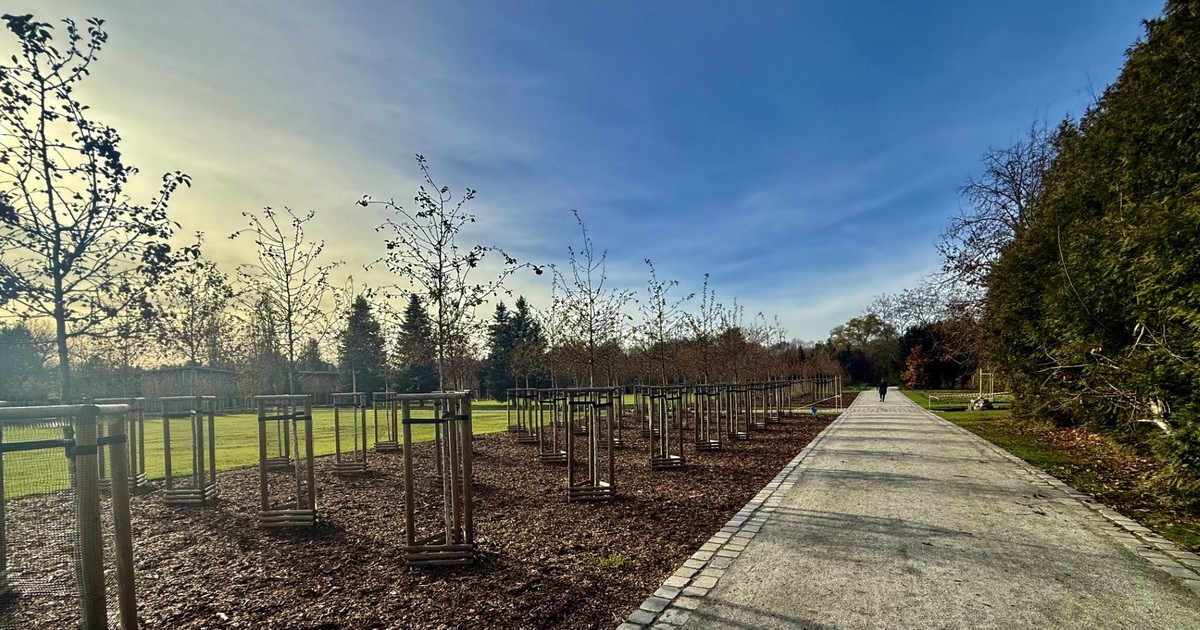 Ogrody Szczytnickie będą pełne rzadkich drzew. Jest jeden szczegół, który cieszy szczagólnie!