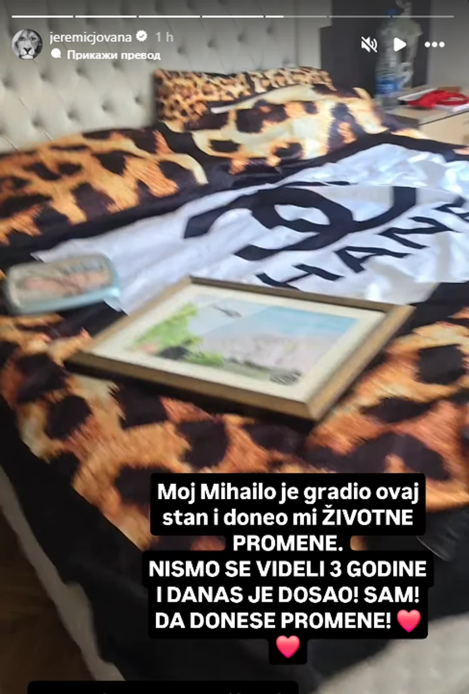 Radovi u domu Jovane Jeremić