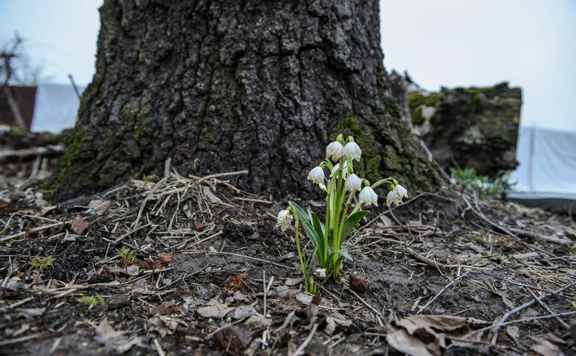 MIEJSCE KATASTROFY W SMOLEŃSKU