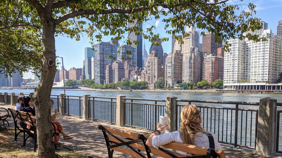 Roosevelt Island z widokiem na Manhattan