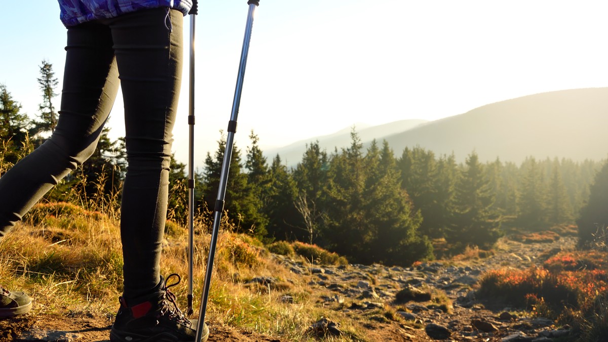 Nordic walking to forma rekreacji sportowo-ruchowej, polegająca na spacerach z wykorzystaniem specjalnych kijków. Jest to idealny sposób na zachowanie lub wypracowanie kondycji fizycznej podczas jesiennych dni. Jak wykonywać poprawnie trening z wykorzystaniem kijków oraz jaki sprzęt będzie do tego najodpowiedniejszy?