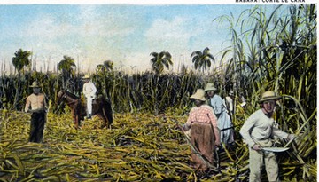 Słodka wyspa. Historia interwencji USA na Kubie