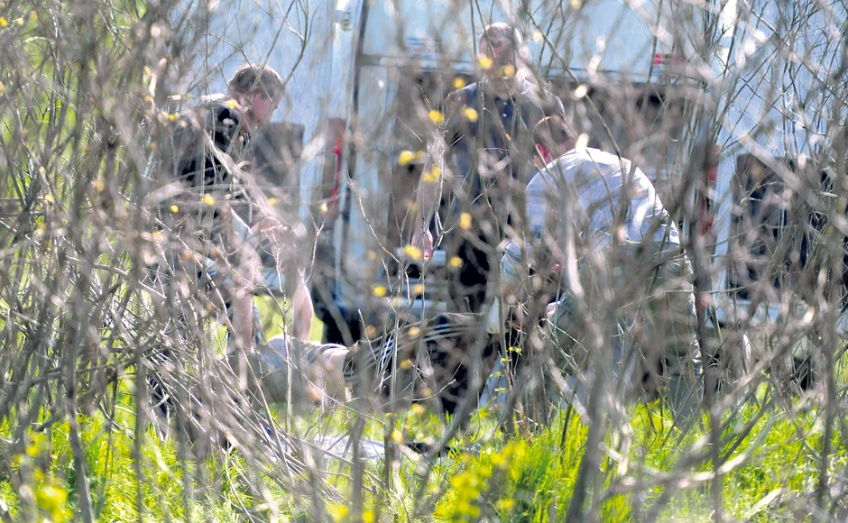 Jelenino telo pronađeno je u kanalu na nasipu