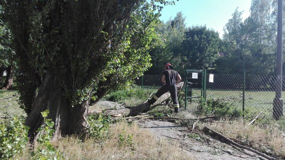 Nawałnica spustoszyła Osiedle Podwawelskie