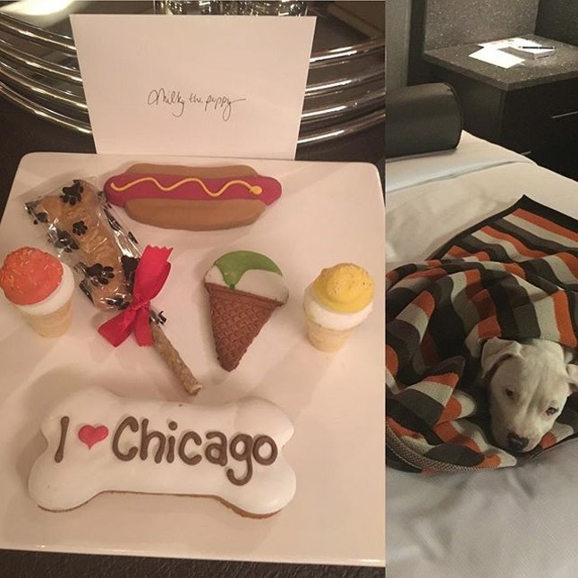 Így várták Chicagóban Milkyt