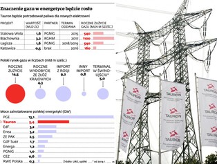 Tauron chce sprowadzać do Polski skroplony gaz przez terminal LNG