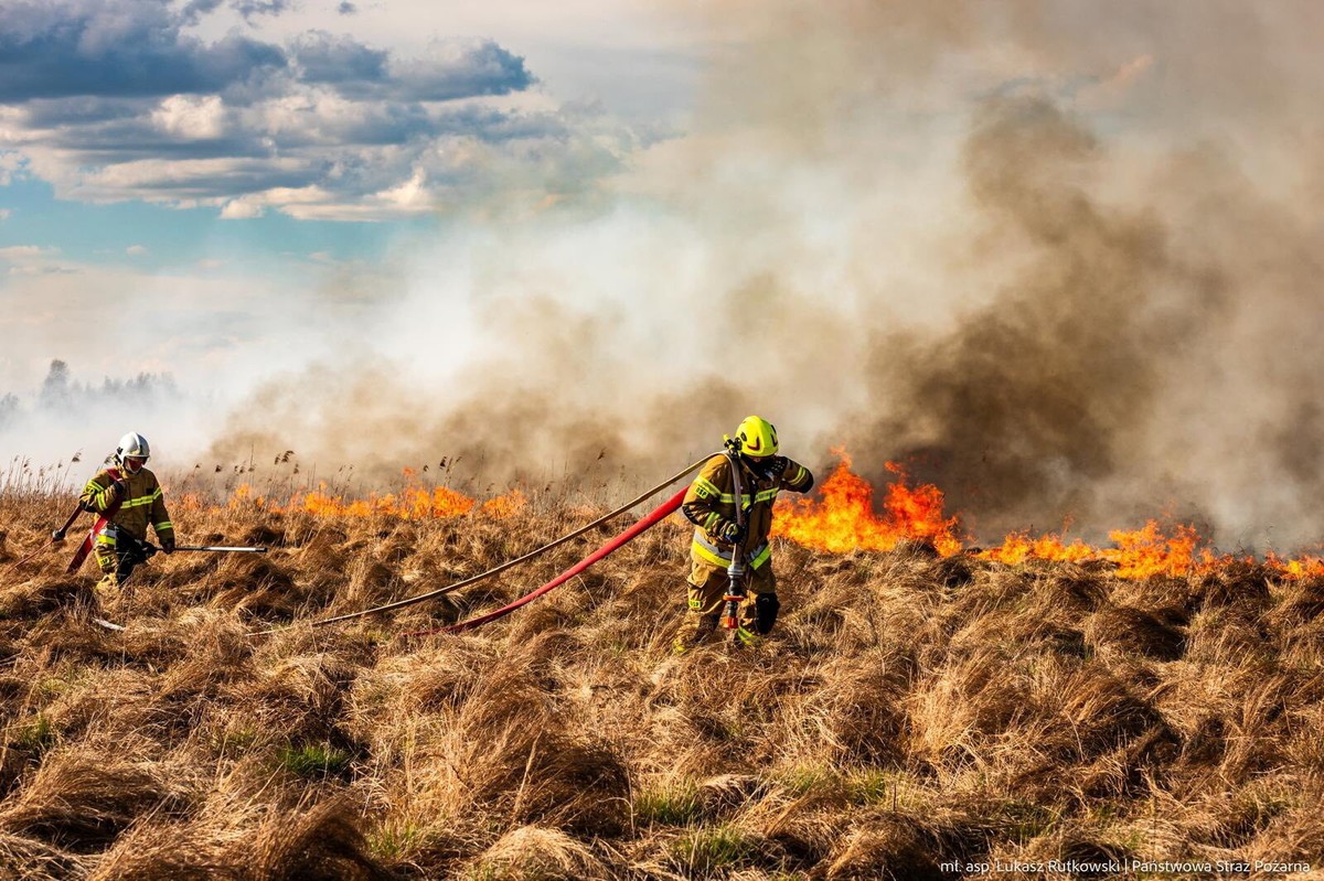 pożar suchych trzcinowisk w Biebrzańskim Parku Narodowym