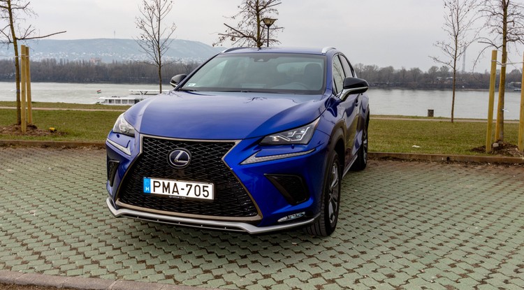 Lexus NX300h