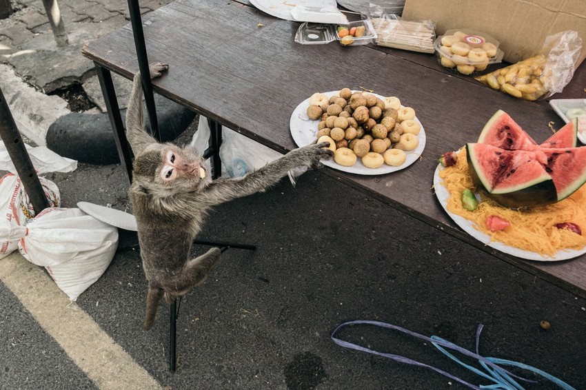 Majamuni na Tajlandu