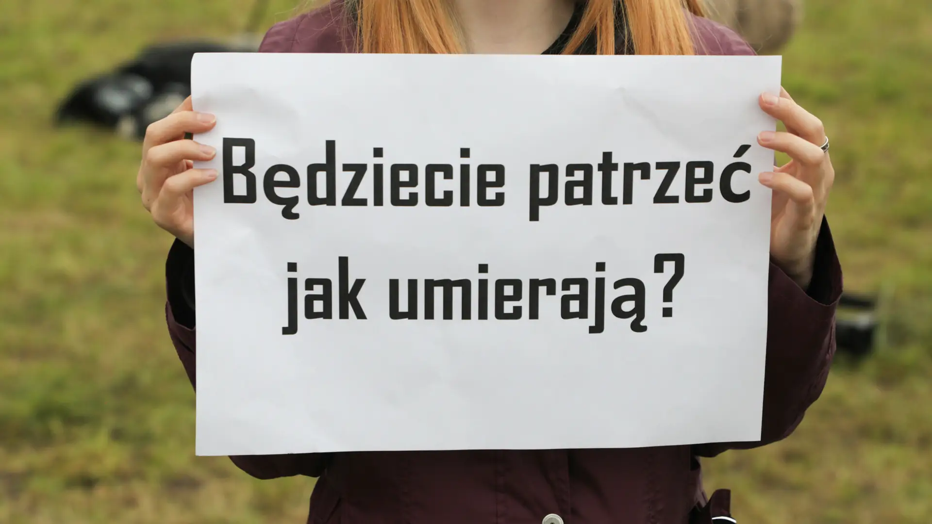 Sytuacja migrantów na granicy jest dramatyczna. Pytamy Straż Graniczą, dlaczego im nie pomaga