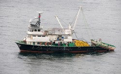 Wielka Brytania: to od Francji zależy rozwiązanie sporu o prawa do połowów