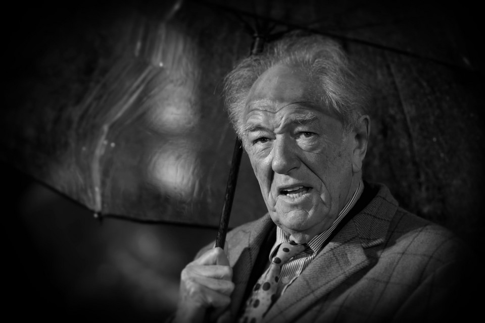 Michael Gambon (19 października 1940 — 27 września 2023)