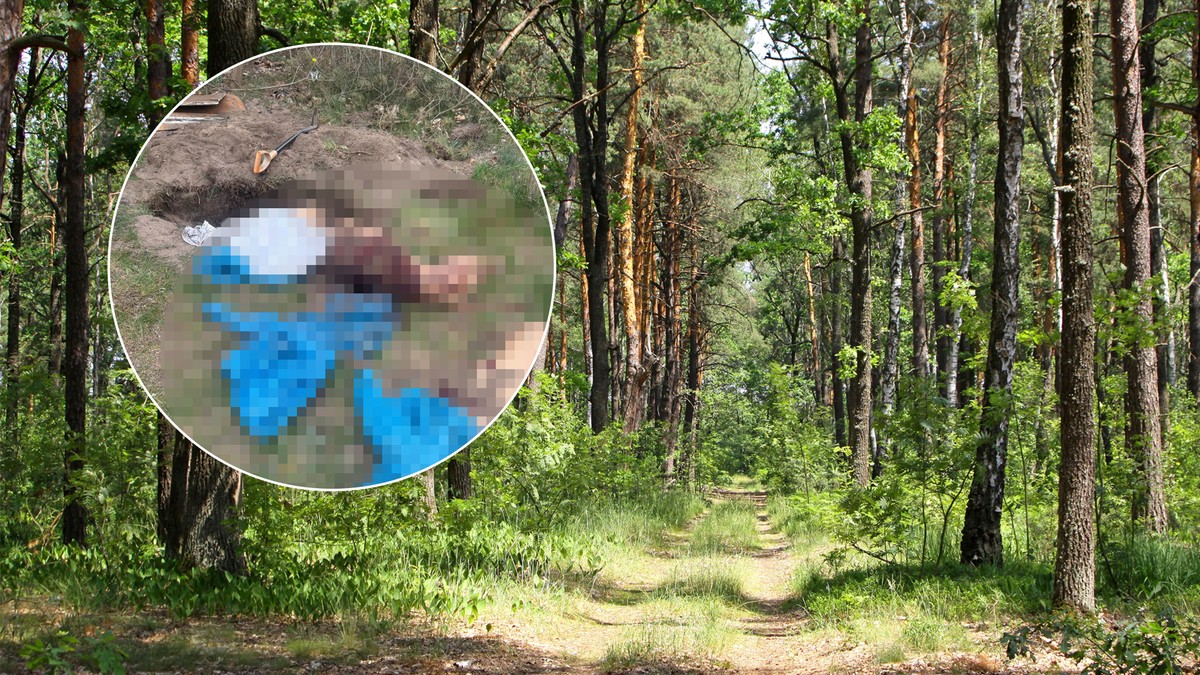Koszmarne odkrycie w lesie. Coś takiego mógł zrobić tylko zwyrodnialec