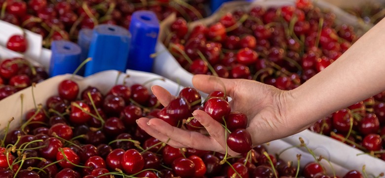Przebadali w laboratorium czereśnie "prosto od rolnika". Wyniki są szokujące