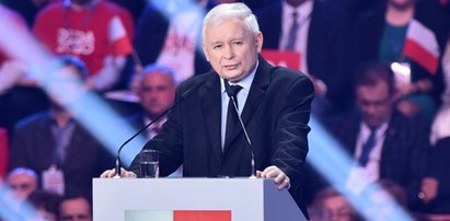 Najnowszy sondaż. Rośnie poparcie dla PiS, Hołownia depcze KO po piętach