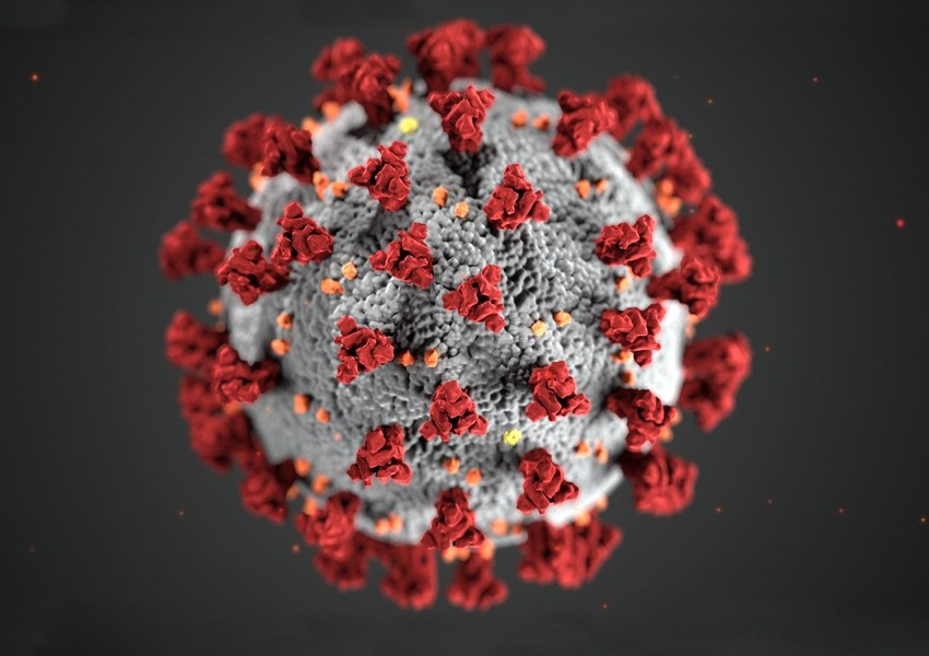 Korona virus